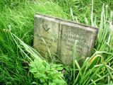 image of grave number 393632